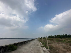 Đất mặt tiền Tam Thôn Hiệp và Sông Lòng Tàu, An Thới Đông, Cần Giờ