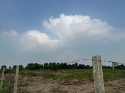 Đất mặt tiền Tam Thôn Hiệp và Sông Lòng Tàu, An Thới Đông, Cần Giờ