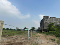 Đất mặt tiền Tam Thôn Hiệp và Sông Lòng Tàu, An Thới Đông, Cần Giờ