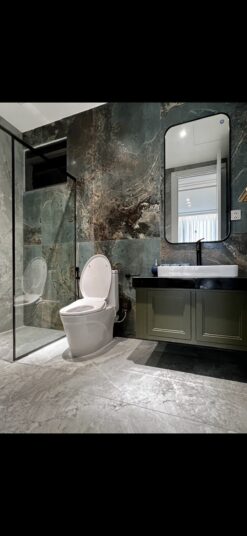 Penthouse The Ascentia Phú Mỹ Hưng, Quận 7