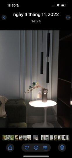 Penthouse The Ascentia Phú Mỹ Hưng, Quận 7