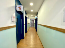 Tòa nhà mặt tiền đường Tân Phú, Nam Thông Phú Mỹ Hưng, Quận 7