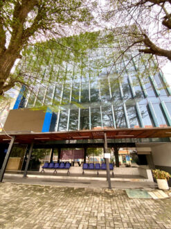 Tòa nhà mặt tiền đường Tân Phú, Nam Thông Phú Mỹ Hưng, Quận 7