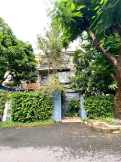 Biệt thự song lập Mỹ Gia 1 Phú Mỹ Hưng, Quận 7