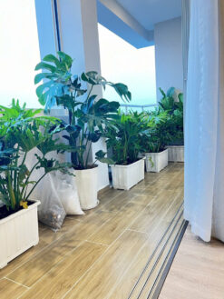 Căn hộ Mỹ Khang Phú Mỹ Hưng, Quận 7