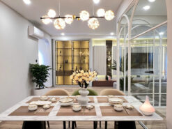 Căn hộ Mỹ Khang Phú Mỹ Hưng, Quận 7