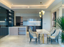 Căn hộ The Horizon Phú Mỹ Hưng, Quận 7