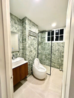 Penthouse Park View Phú Mỹ Hưng, Quận 7