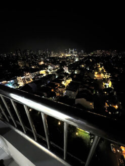 Penthouse Park View Phú Mỹ Hưng, Quận 7