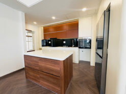 Penthouse Park View Phú Mỹ Hưng, Quận 7