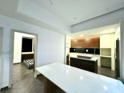 Penthouse Park View Phú Mỹ Hưng, Quận 7