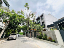 Biệt thự Mỹ Giang 1A Phú Mỹ Hưng, Quận 7
