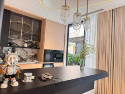 Biệt thự Mỹ Giang 1A Phú Mỹ Hưng, Quận 7