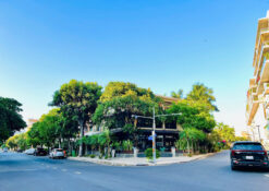 Biệt thự Mỹ Tú Phú Mỹ Hưng, Quận 7