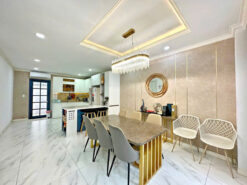 Biệt thự Nguyễn Văn Linh, Quận 7