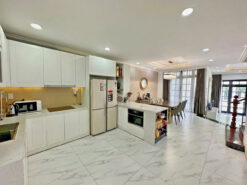 Biệt thự Nguyễn Văn Linh, Quận 7