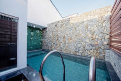 Biệt thự Nguyễn Văn Linh, Quận 7