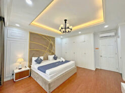 Biệt thự Nguyễn Văn Linh, Quận 7