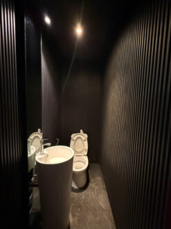 Biệt thự song lập Mỹ Hoàng, Phú Mỹ Hưng, Quận 7