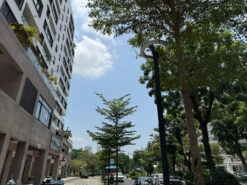 Shophouse Panorama Phú Mỹ Hưng, Quận 7