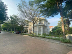 Biệt thự đơn lập Chateau Phú Mỹ Hưng, Phường Tân Mỹ, Hồ Chí Minh
