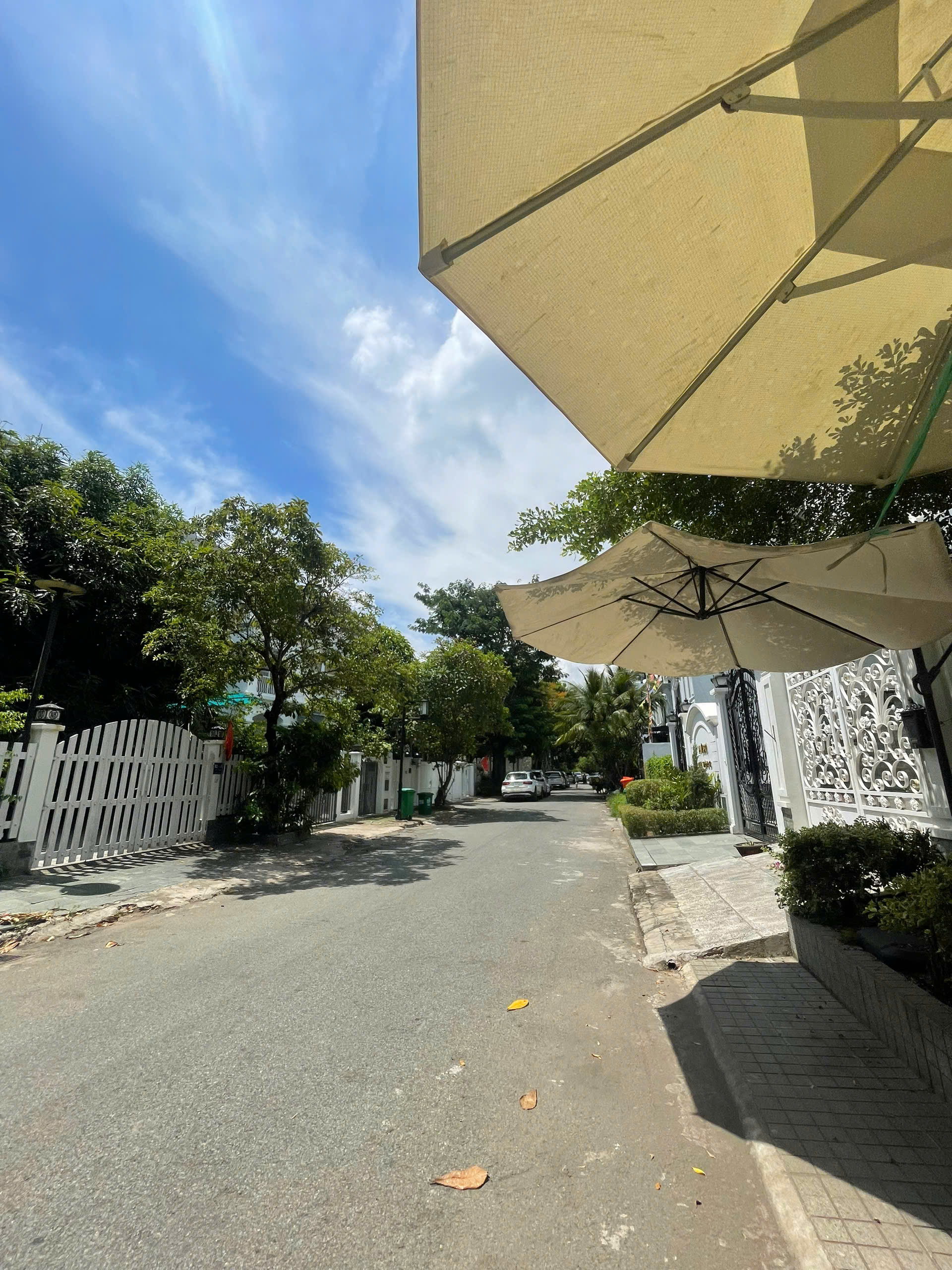 Bán biệt thự mỹ thái 1 Phú Mỹ Hưng, kế công viên 2ha, 196m2 (7x28m), Sân vườn siêu rộng - Ảnh 4
