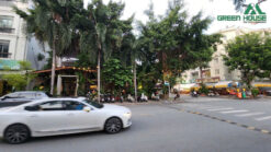 cho-thue-biet-thu-phu-my-hung