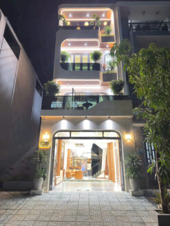 Nhà phố Phường Tân Mỹ, Hồ Chí Minh