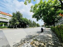 Biệt thự đơn lập Nam Thông 2 Phú Mỹ Hưng