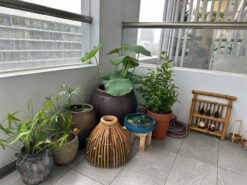 Căn hộ Garden Court Phú Mỹ Hưng