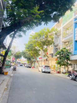 Đất mặt tiền KDC Phú Mỹ, Phường Tân Mỹ