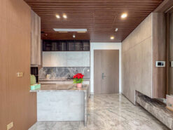 Penthouse Ascentia Phú Mỹ Hưng