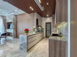Penthouse Ascentia Phú Mỹ Hưng