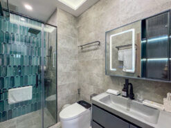 Penthouse Ascentia Phú Mỹ Hưng