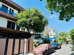 Biệt thự song lập Mỹ Gia 1 Phú Mỹ Hưng