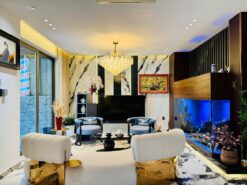 Biệt thự song lập Mỹ Gia 1 Phú Mỹ Hưng