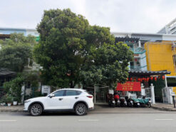 Nhà phố kinh doanh đường số 17 Mỹ Thái 2, Phú Mỹ Hưng